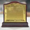 Wooden Sheild 14 inch Trophy VTC 245