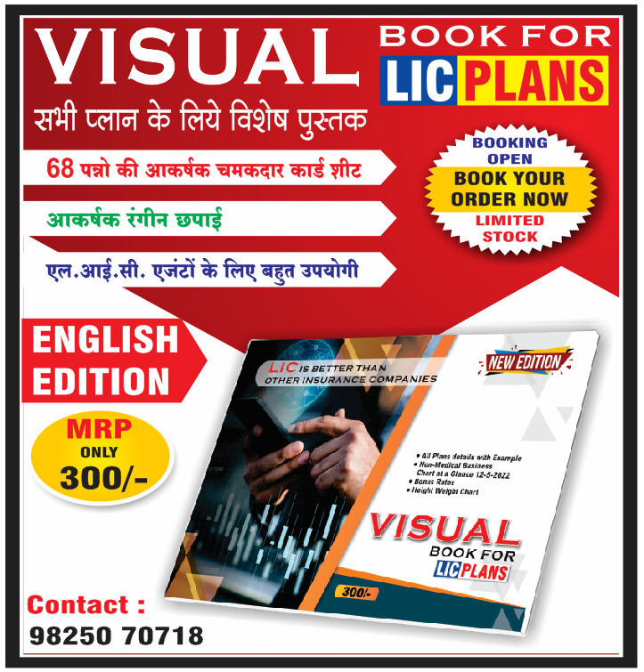Visual Plan Book English